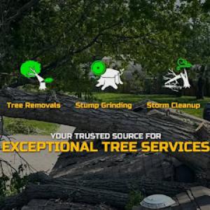 KC Tree Works