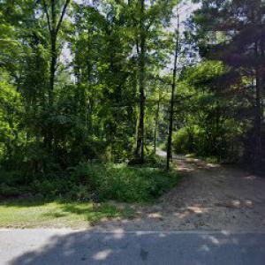 American Limb Walkers