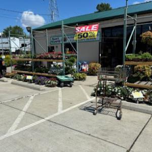Plant World Nursery & Landscaping