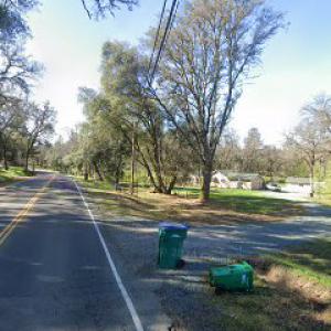 Deep Roots Stump Grinding