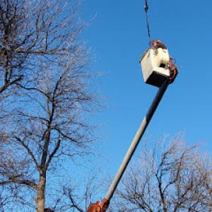 Falls Tree Service