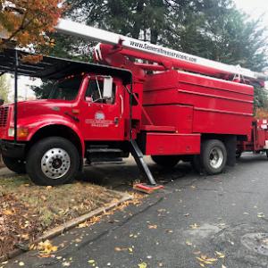 General Tree Service