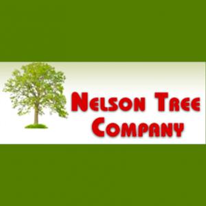 Randy Nelson Tree