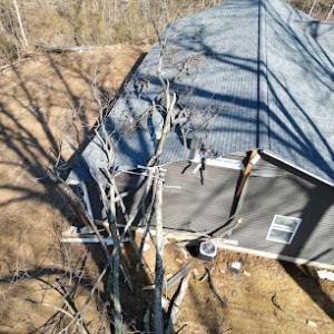 Clean Cut Tree Service