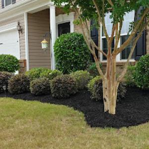 Universal Lawn & Floor