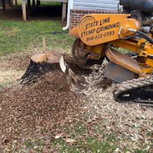 State Line Stump Grinding