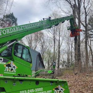 Affordable Tree Experts