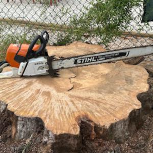 Braddock Bros Tree Care