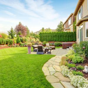 Danny International Tree Service