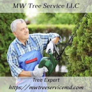 MW Tree Service