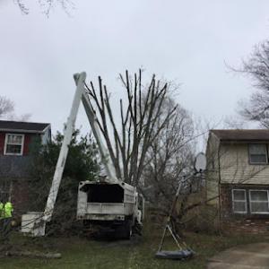 A Touch of Grass Tree Service