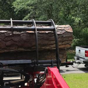 Campbell's Tree Service