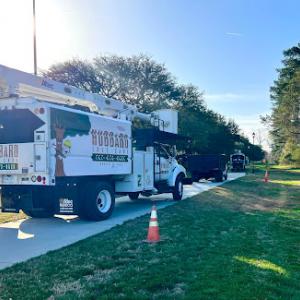 Hubbard Tree Care