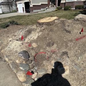 GrindTime Stump Grinding