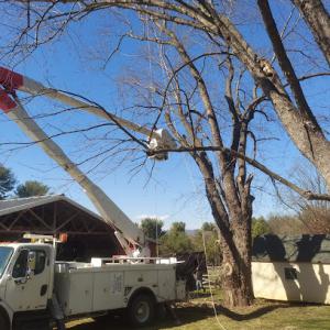 Bluestone Hills Tree Service & Landscaping