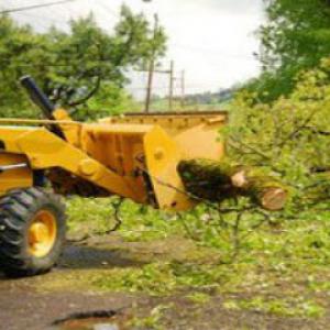 Hemet Tree Service