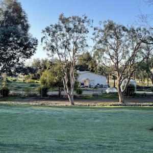 Ramon Loyas Tree Services