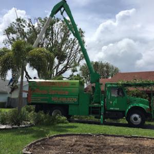 Aabraham Professional Tree Services