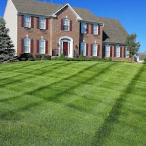 BeLawnSmart Landscaping & Sprinkler Irrigation