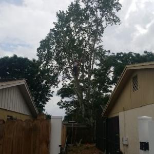 Kennedy Outdoor Maintenance