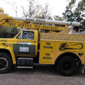 Tree Service Mark Riggs