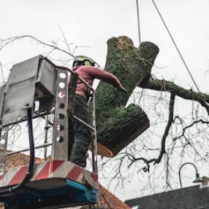 Alter Tree Service Clarksville