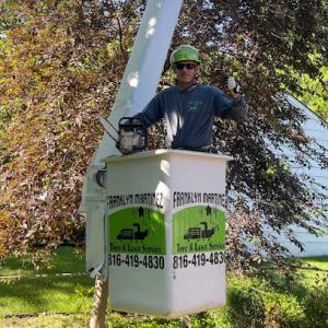 Franklyn Martinez Tree & Lawn