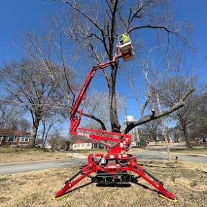 Veteran Tree Solutions