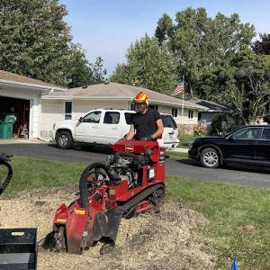 VK Tree & Stump Service