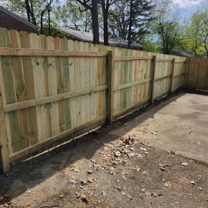 Landscape Renovators/ Canton Tree