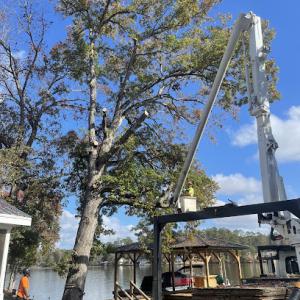 Long Brothers Tree Service