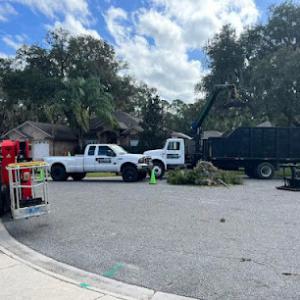 Arbor Experts Tree Professionals