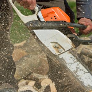 Maple Springs Tree Service