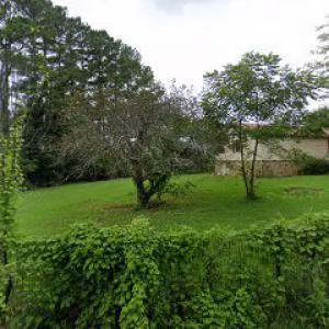 The Mountain Tree Service