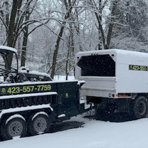 Hoover's Arborscapes