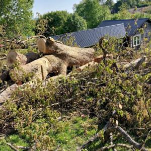 All American Tree Service