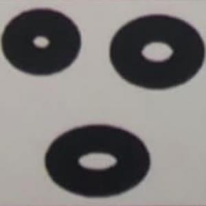 Coconut Tree Trimmer Kona