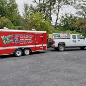 Kevin & Sons' Tree Stump Removal