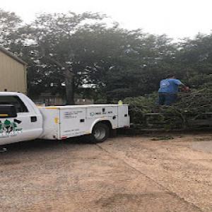 Lobo Tree Service