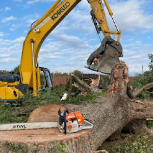 D&M Tree Service Of The Carolinas