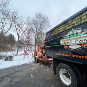 Northeastern Tree Care