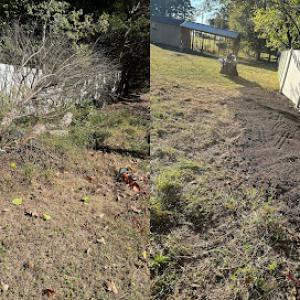 DiLauro Stump Grinding