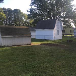 Steve D's Tree Service