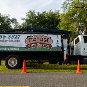 Stanage Tree Service