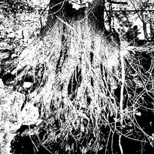 Tree Commanders