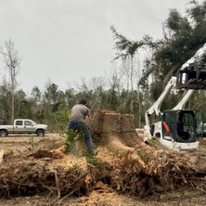 Leblanc Tree Service