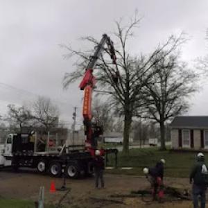 Allen's Tree Service