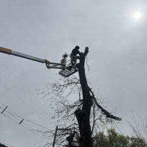 Hurst Felling Company