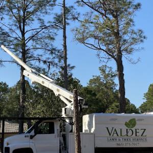 Valdez Lawn & Tree Service