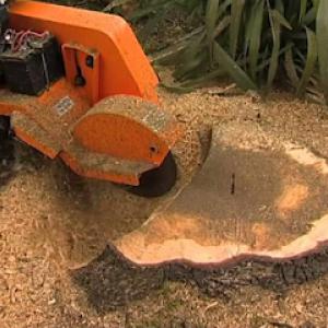 Rodriguez Tree Services